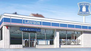 Photo from Lawson's website.