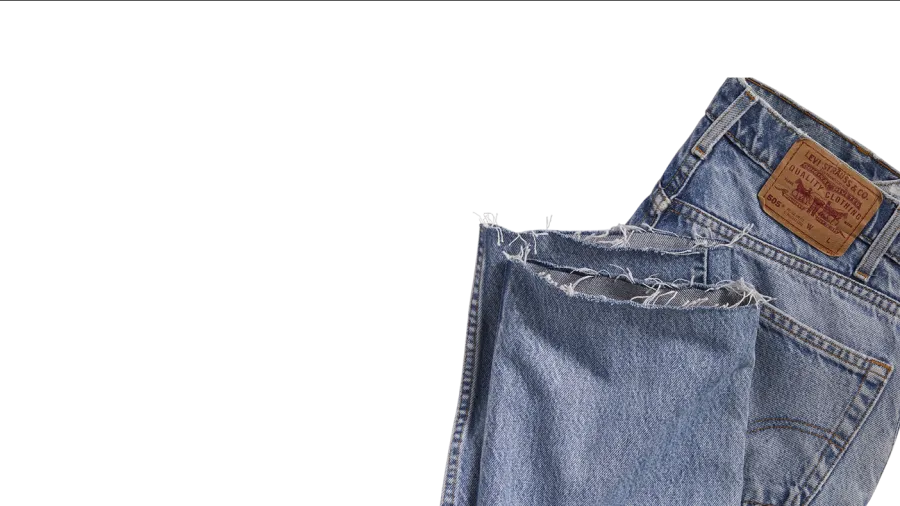 Source: Levi's