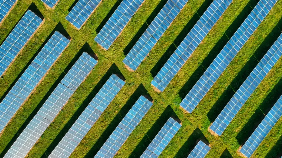 Photo by Red Zeppelin (Unsplash).