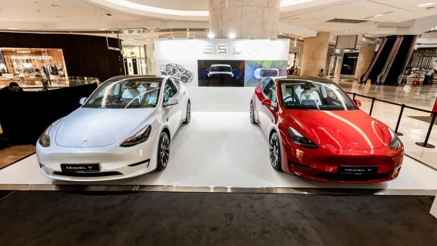 A glimpse of Tesla's Model Y car launch. /Tesla