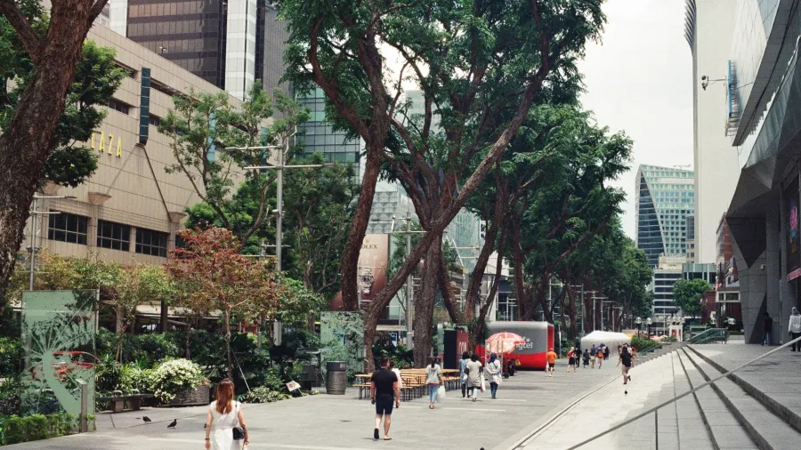 /Hannah Sibayan for Unsplash