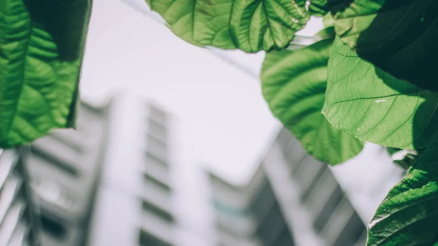 Photo by Arun Thomas from Pexels.