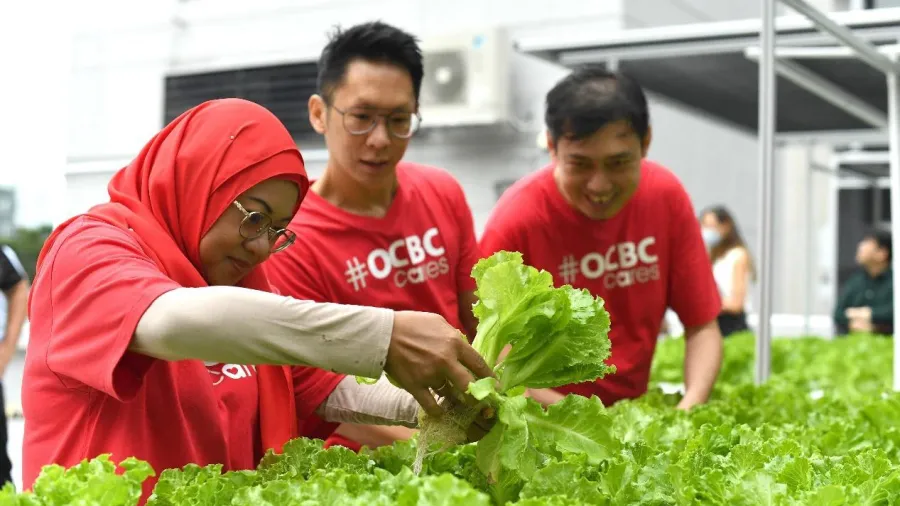Photo courtesy of OCBC.