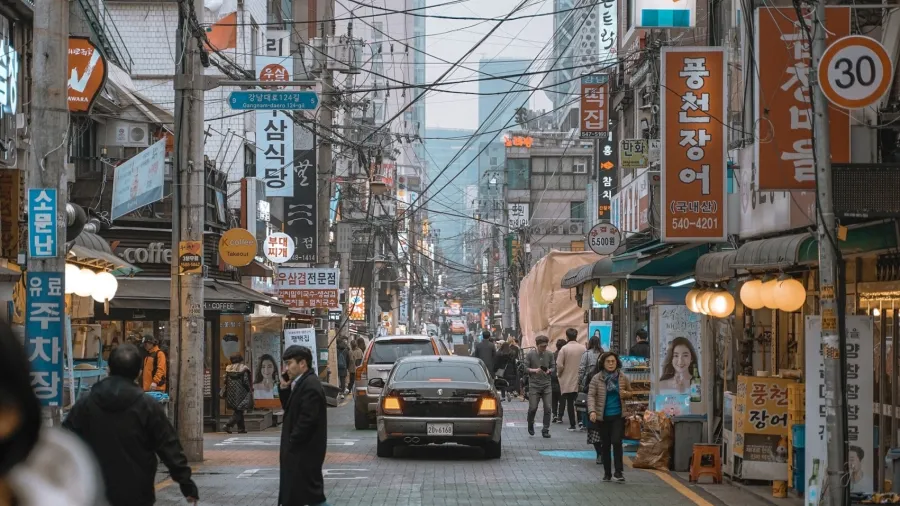 Photo by Tori Song.