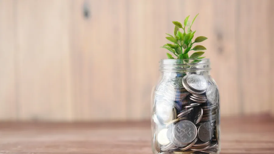 Photo by Towfiqu Barbhuiya via Pexels.