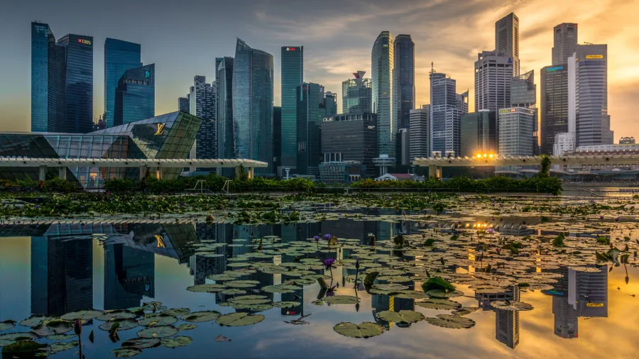 Photo by Mike Enerio for Unsplash
