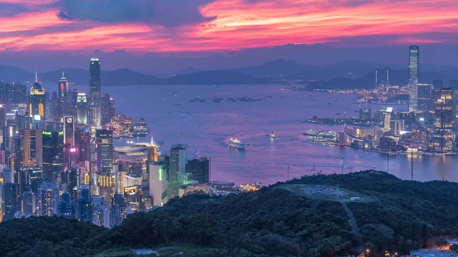 Photo by Steven Yu from Pixabay