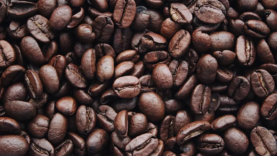 Source: Igor Haritanovich (Pexels)