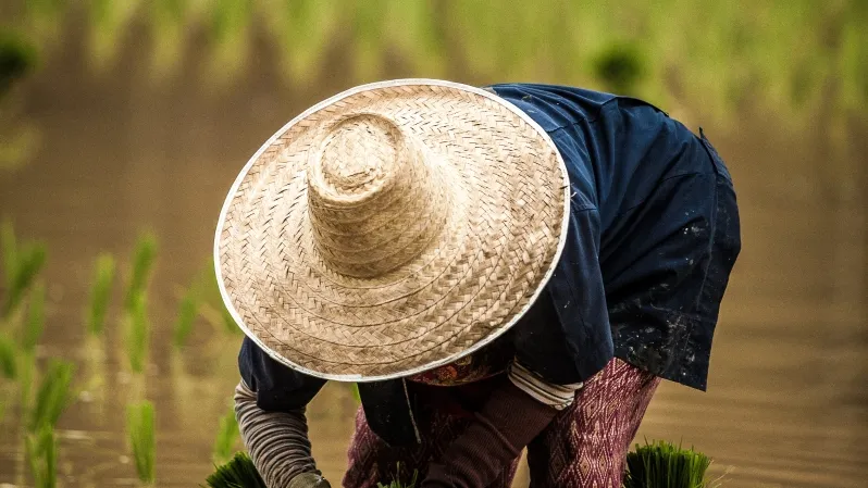 Photo by Eduardo Prim from Unsplash