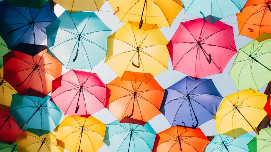 Photo by Ricardo Resende from Unsplash