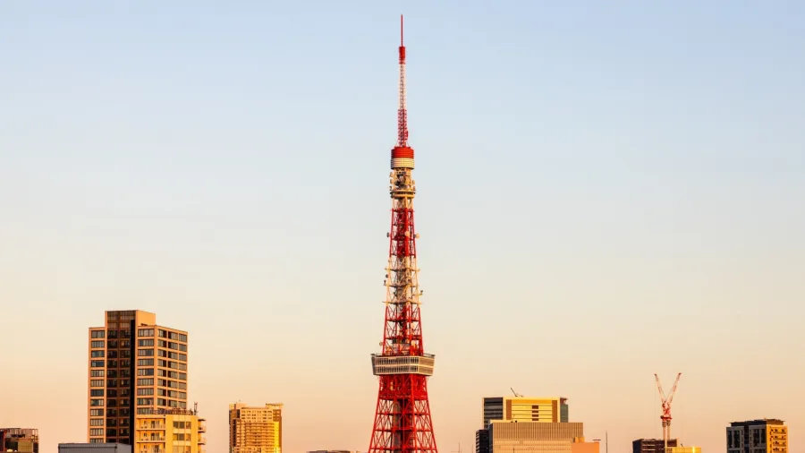 Photo by Bing Hui Yau via Unsplash.