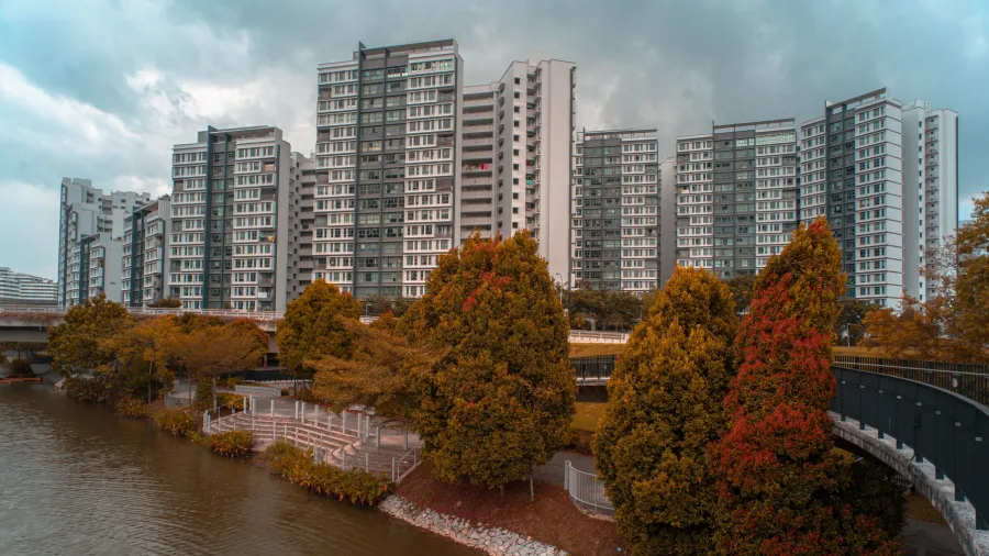 Photo by Ivan Yeo on Unsplash
