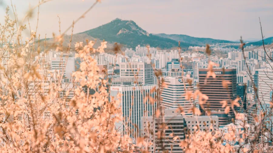 Photo by Cait Ellis via Unsplash.