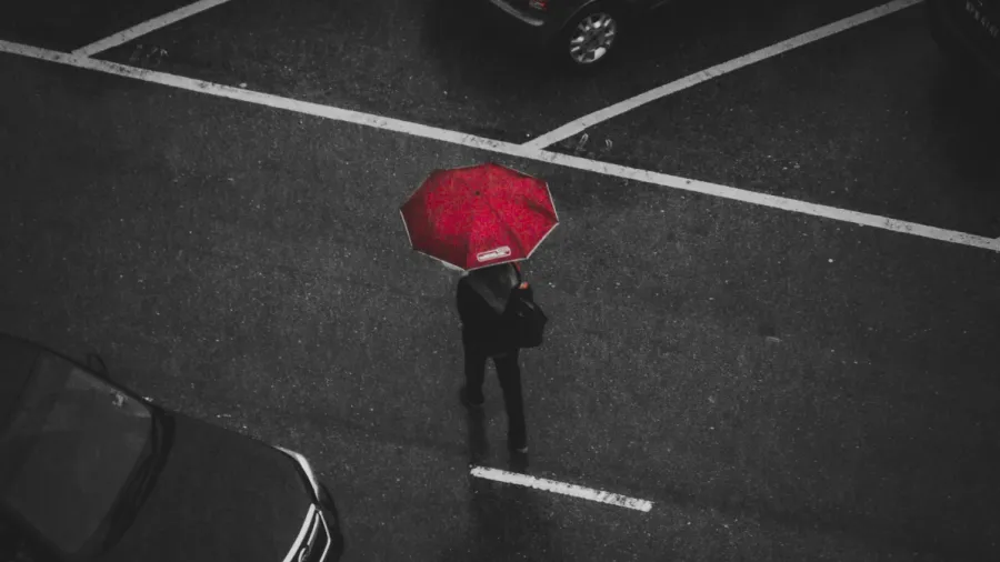 Photo by Deva Darshan from Unsplash