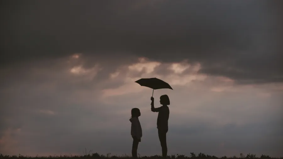 /JW Ju from Unsplash
