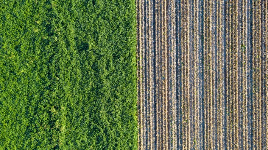 Photo by Mauro Tandoi on Unsplash.