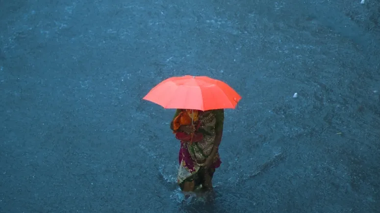 Photo by Aamir Dukanwala from Pexels