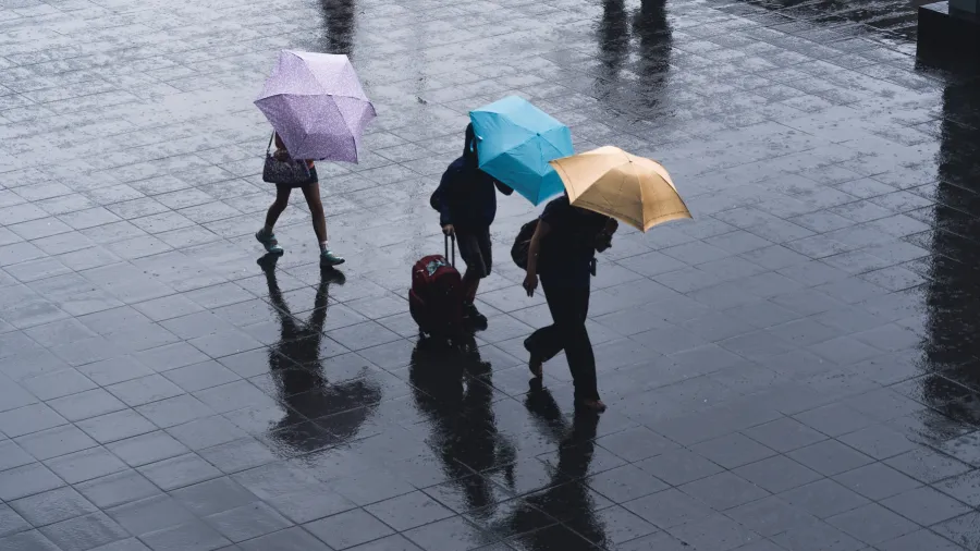/Ryoji Iwata from Unsplash