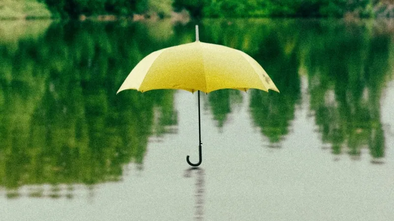 Photo by Saffu from Unsplash