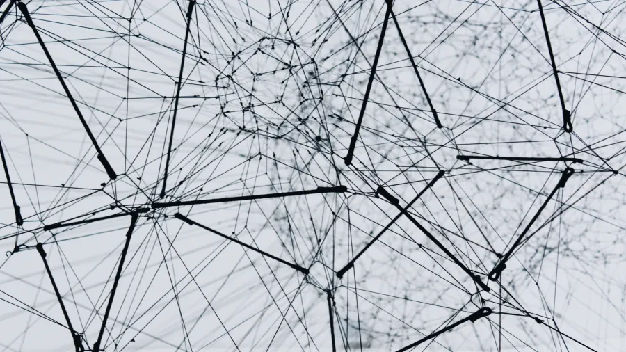 /Alina Grubnyak from Unsplash