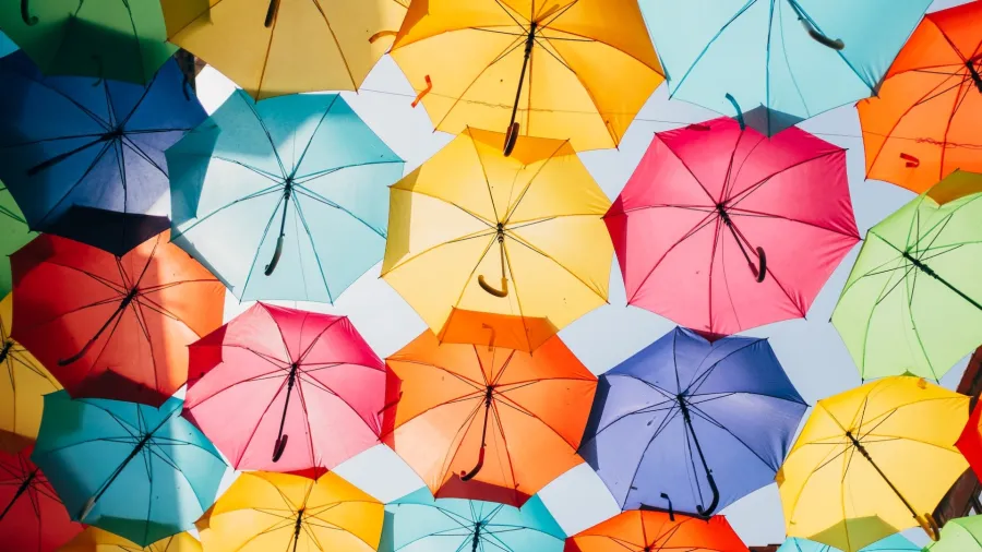 Photo by Ricardo Resende via Unsplash.