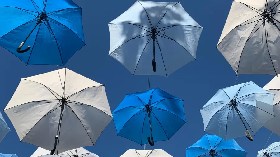 /Nayeli Leal Uh from Unsplash
