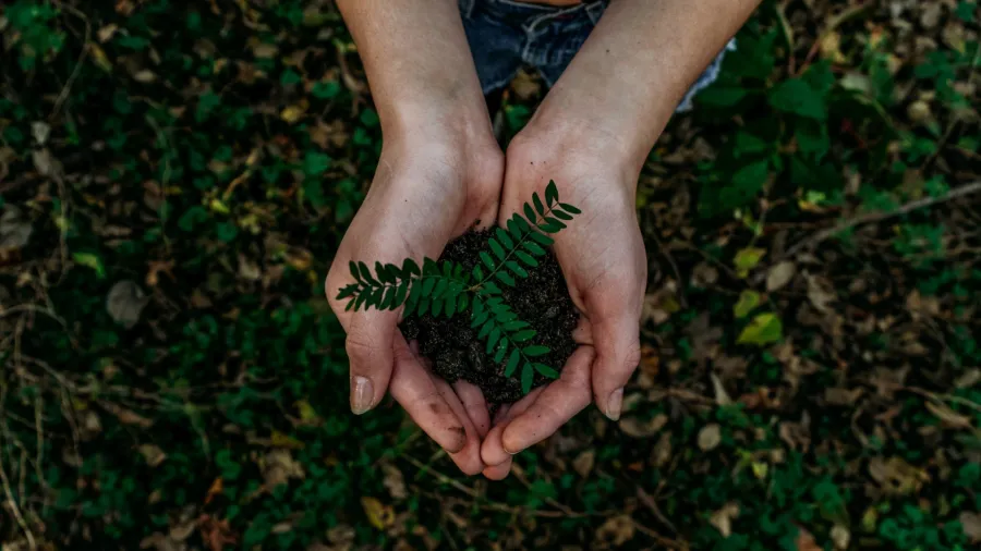 Photo by Noah Buscher on Unsplash