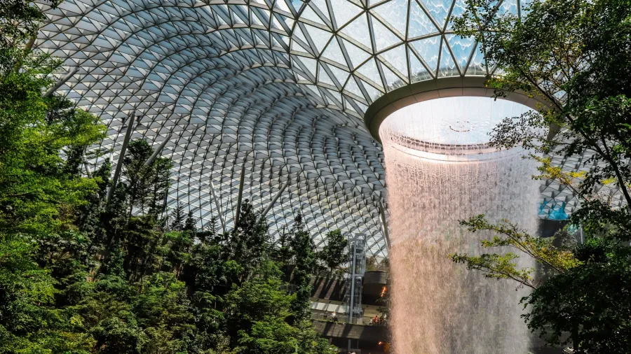Photo by Palu Malerba: https://www.pexels.com/photo/green-leafed-plants-inside-greenhouse-2426546/
