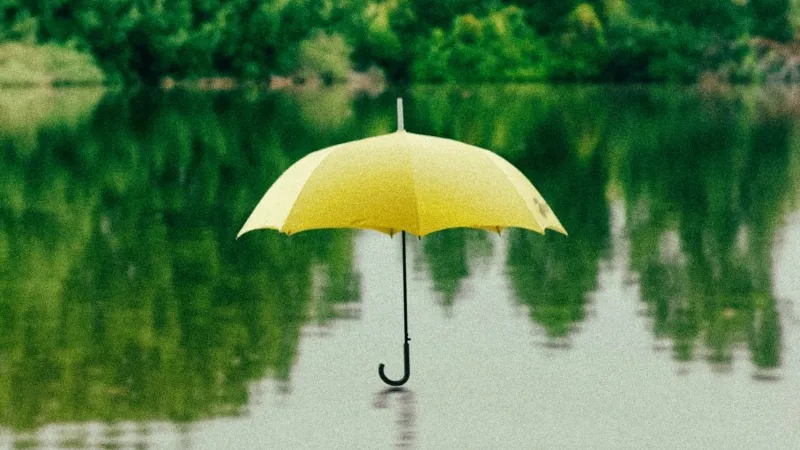 /Saffu from Unsplash