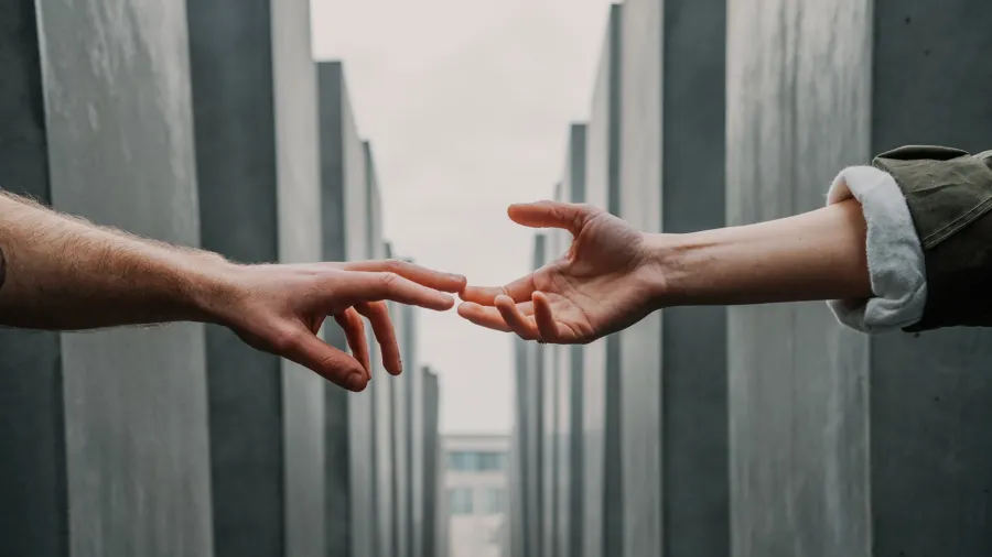 /Toa Heftiba from Unsplash