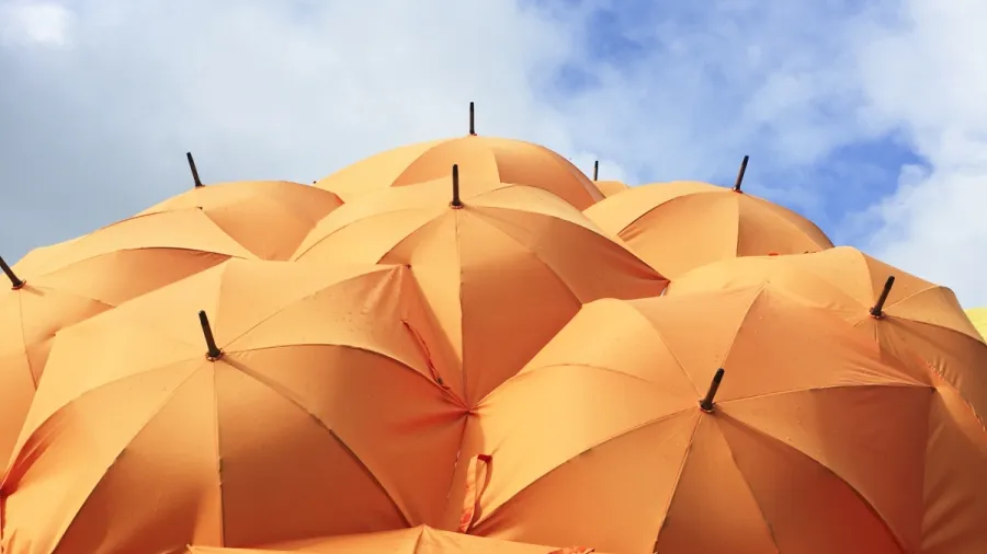 /Catrin Johnson from Unsplash