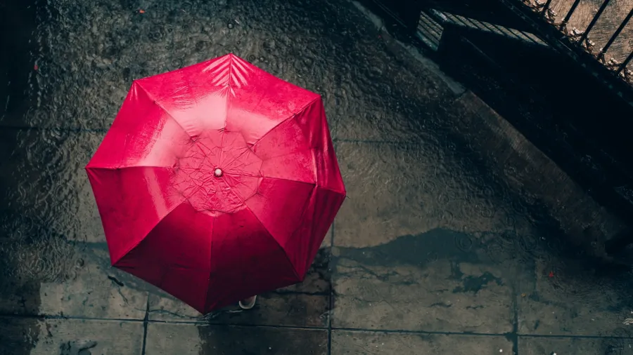 /Miftah Rafli Hidayat from Pexels
