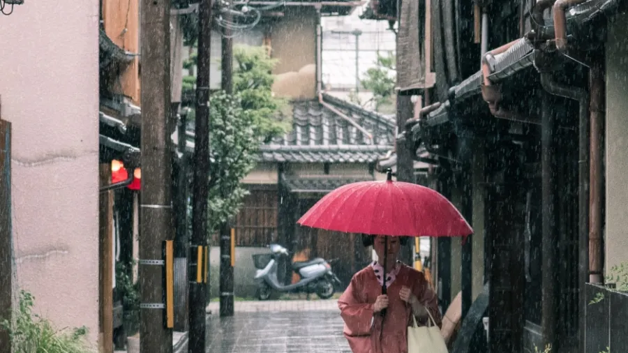 /Satoshi Hirayama from Pexels