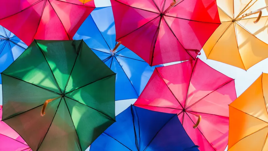 /Paul Knight from Unsplash