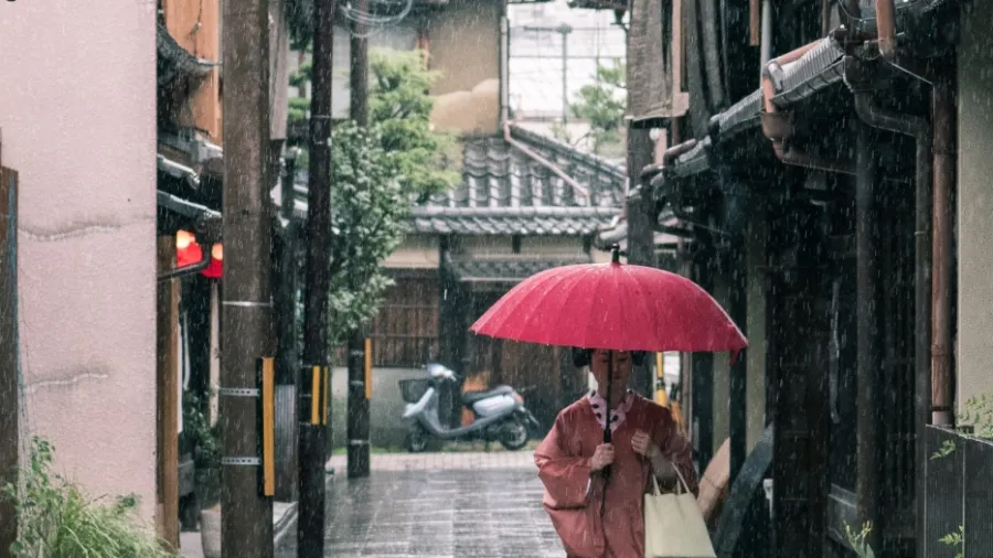 /Satoshi Hirayama from Pexels