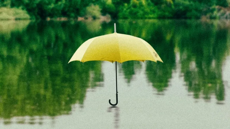 /Saffu from Unsplash