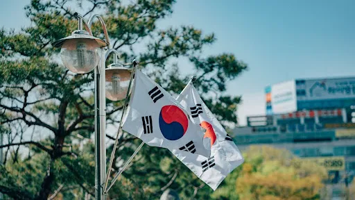 Photo by Daniel Bernard on Unsplash