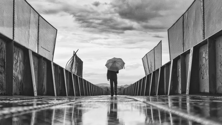 /Konstantin Planinski from Unsplash