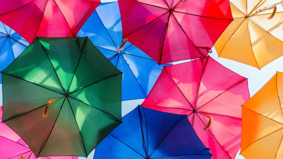/Paul Knight from Unsplash