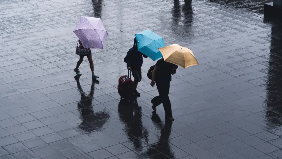 /Ryoji Iwata from Unsplash