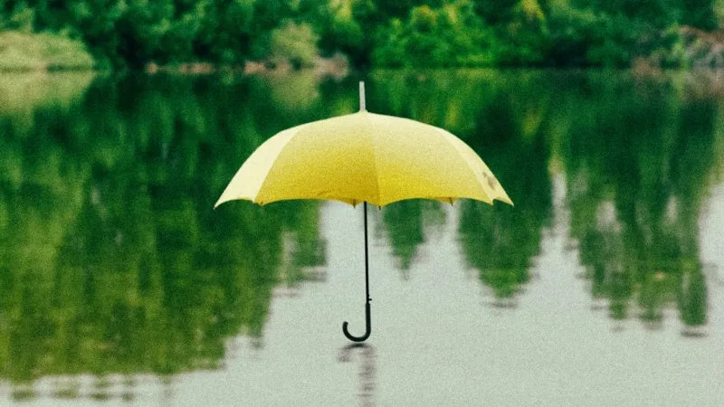 /Saffu from Unsplash