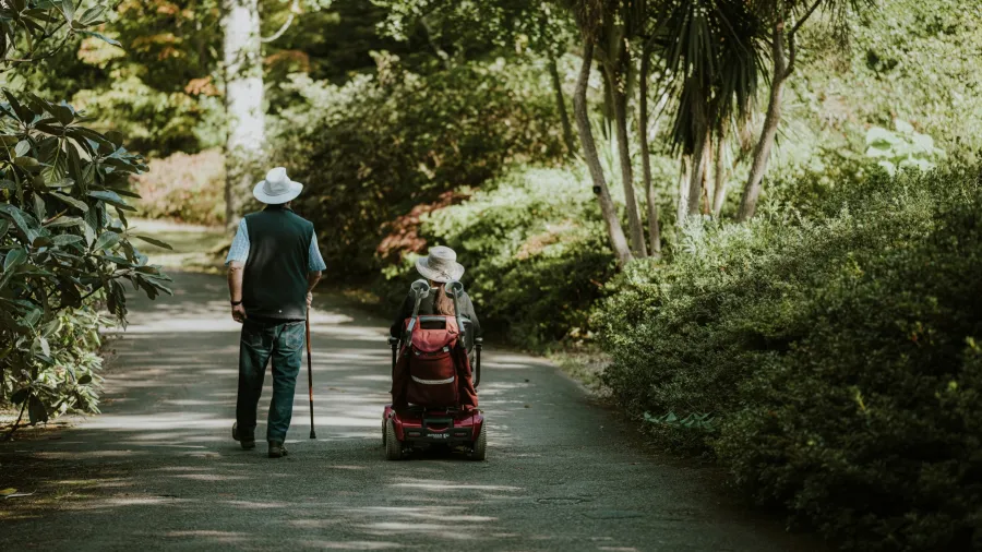 /Annie Spratt from Unsplash
