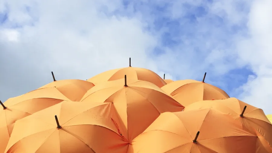 /Catrin Johnson from Unsplash