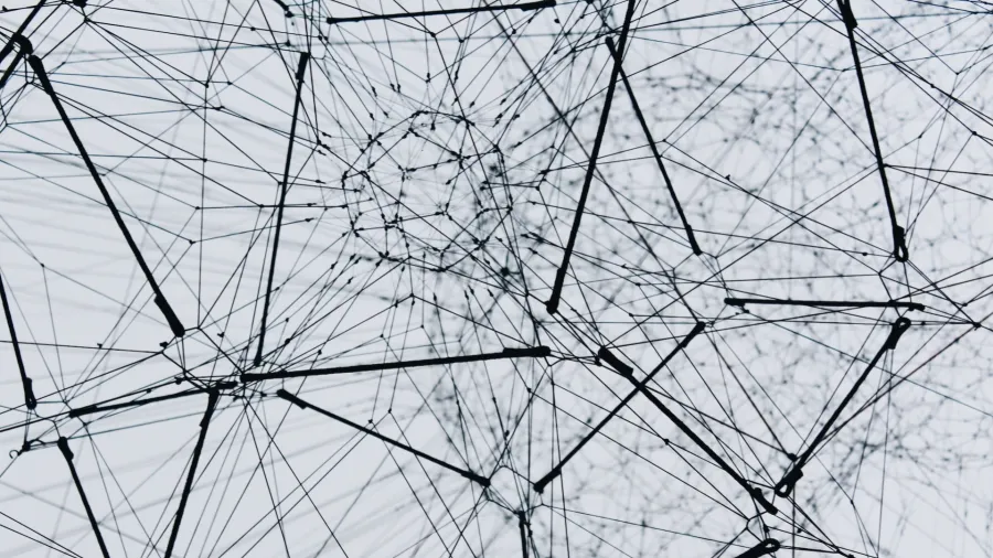 Photo by Alina Grubnyak via Unsplash.