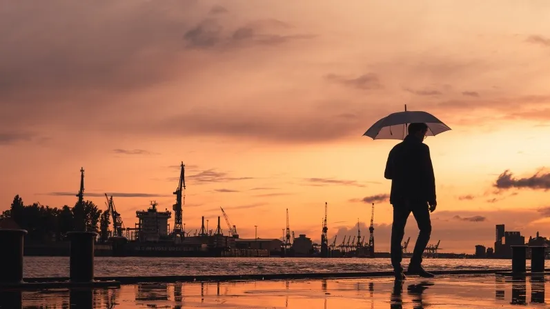 /Dario Rawert from Pexels