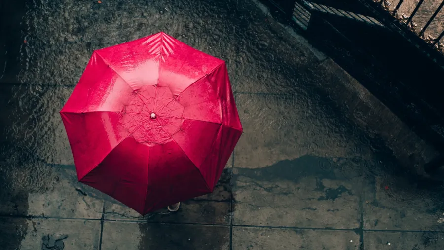 /Miftah Rafli Hidayat from Pexels