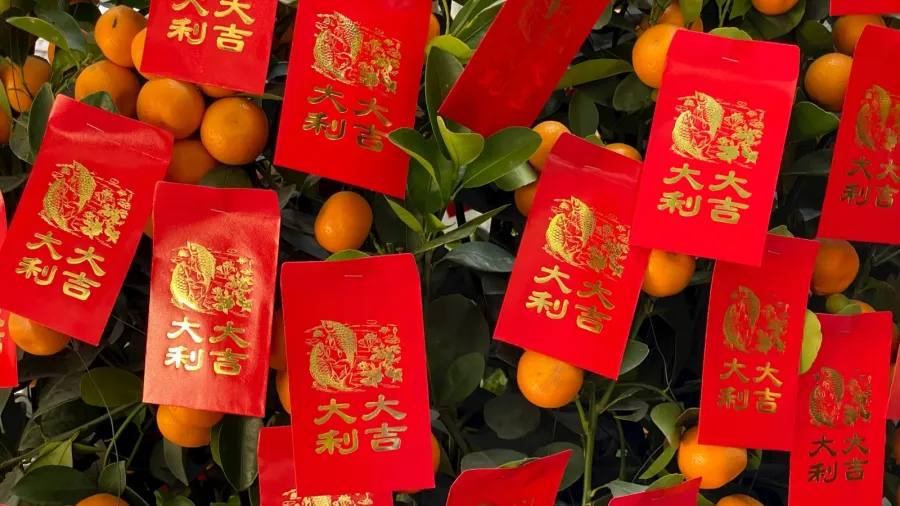 Photo by Yuwei Shaw via Unsplash.