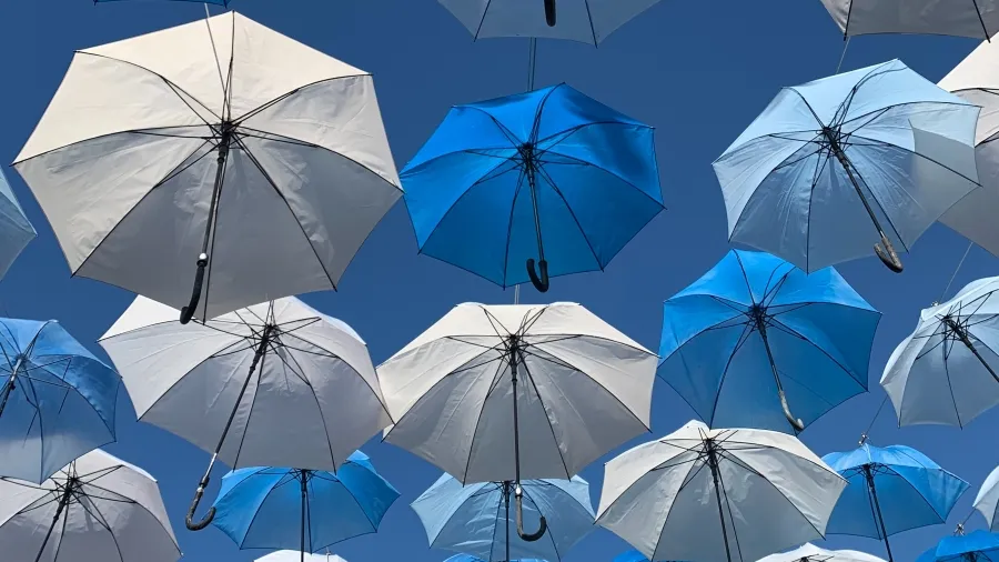 /Nayeli Leal Uh from Unsplash