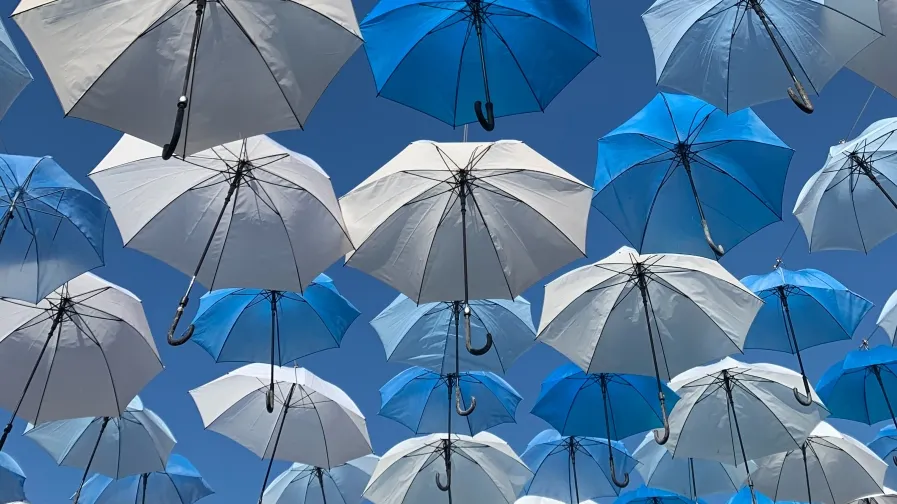 /Nayeli Leal Uh from Unsplash