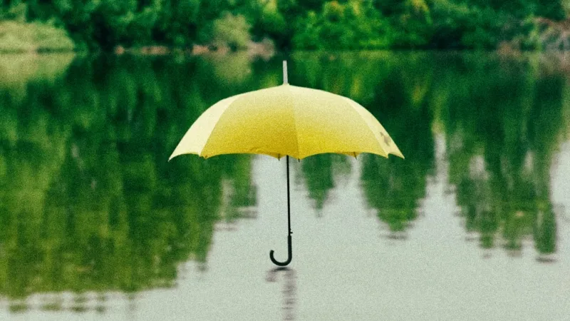 /Saffu from Unsplash